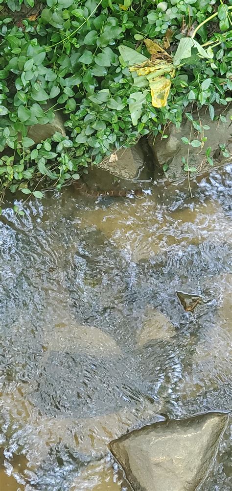 Tread lightly.... : r/southcarolina