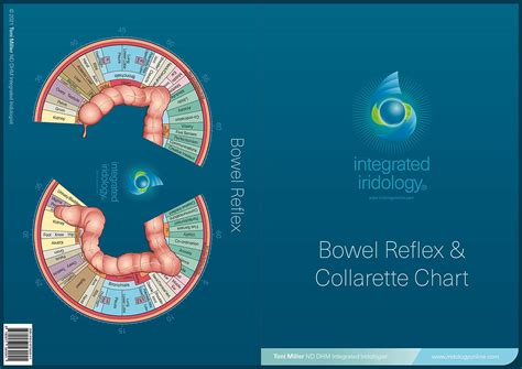 Iridology Online Shop Charts