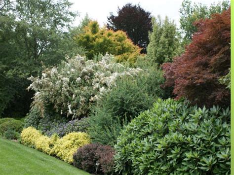 Мир растений - презентация онлайн