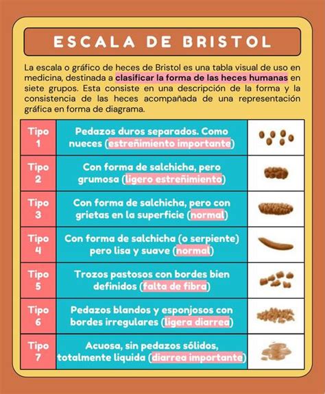 Escala O Gráfico De Heces De Bristol Javier Rios Udocz