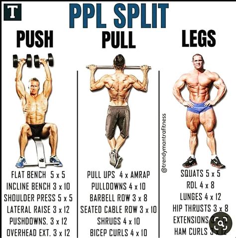 Health And Fitness On Instagram Push Pull And Legs Is A Very