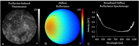 Figure From Design And Validation Of A Diffuse Reflectance And