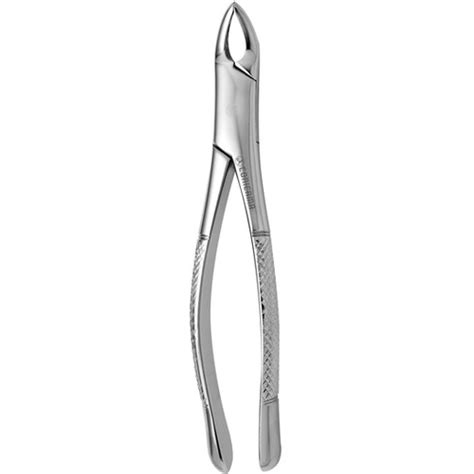 Forceps S Pediatrico Boxdental Ec