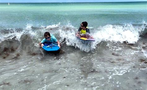 Spend a Summer Day at Sand Key Park - Tampa Bay Parenting