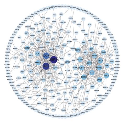 Identification Of Coexpressed Metabolic Genes Associated With HBV