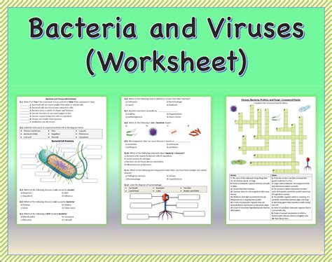 Virus Y Bacterias Liveworksheets