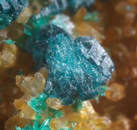 Spangolite With Brochantite Ex Harold Urish Collection Mex Tex Mine