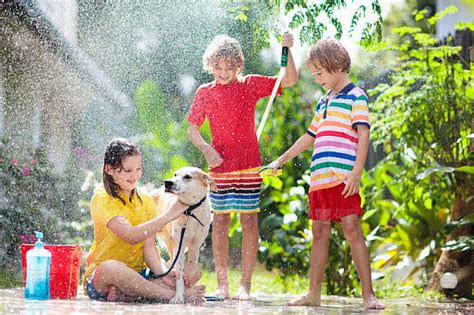 孩子们在夏天的花园里给狗洗澡。水管的乐趣。