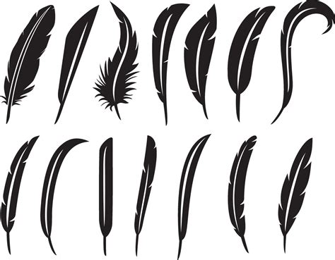 Collection Of Feathers 2335969 Vector Art At Vecteezy