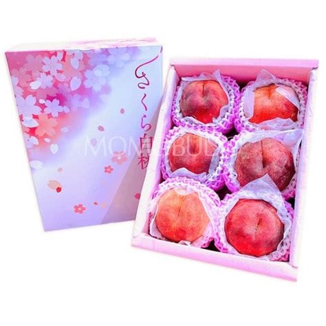 Japanese Fukushima Sakura White Peach Gift Box Kg Momobud