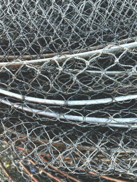 Wire Mesh Fence Stock Photos, Images and Backgrounds for Free Download