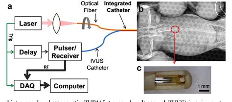 Figure 1 From In Vivo Intravascular Ultrasound Guided Photoacoustic