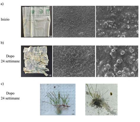 Buste Ecologiche Uno Studio Rivela Che Sono Biodegradabili Ma Non Troppo