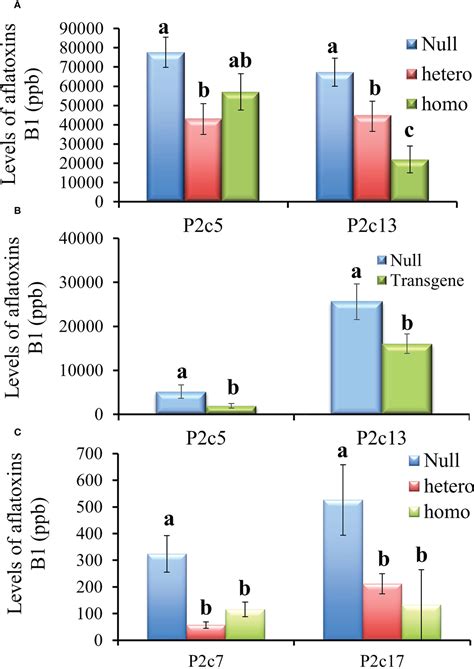 Frontiers Targeting The Aspergillus Flavus P2c Gene Through Host