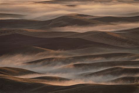 Früher Frühlingsmorgen in Palouse Lydia Jacobs als Kunstdruck oder