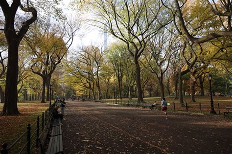 Visit To Central Park New York City November 4th 2022 Flickr