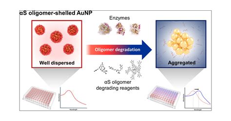 Biomimetically Engineered Amyloid Shelled Gold Nanocomplexes For