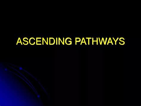 PPT - ASCENDING PATHWAYS PowerPoint Presentation, free download - ID:6698118