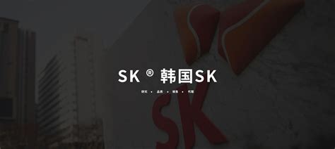 Sk ® 韩国sk 润鸿源进出口（江苏）有限公司