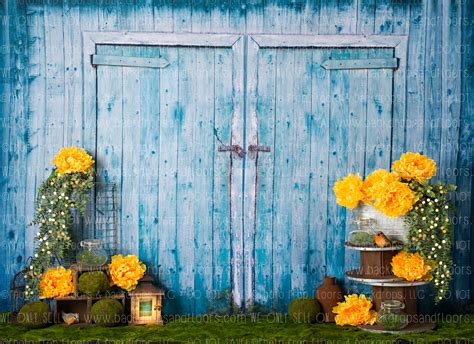 Rustic Blue Barn Doors Photography Backdrop Spring Chic Boho