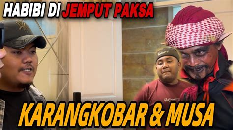 Jemput Paksa Habibi Dan Fahim Karangkobar Musa Ngamuk Youtube