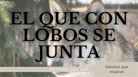 EL QUE CON LOBOS SE ANDA A AULLAR SE ENSEÑA Refranes Populares