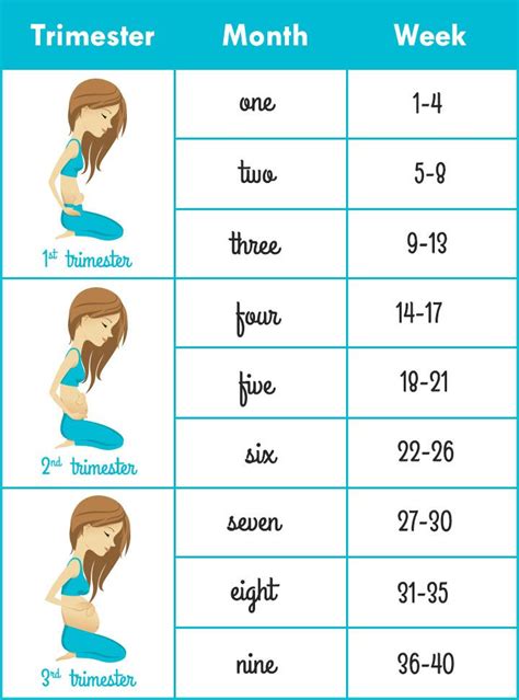 How To Calculate Pregnancy Week By Week Months Accurately Artofit