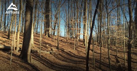 Best Trails In Lake Cumberland State Park Kentucky Alltrails