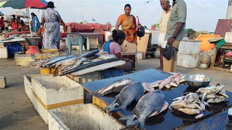 Chennai Fish Markets Witness Crowds Ahead Of East Coast Fishing Ban