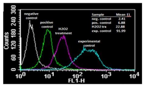 Reactive Oxygen Species Ros Detection Assay Kit Ab287839k936 250