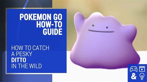 How To Catch Ditto In Pokemon Go How To Guide And Tips YouTube