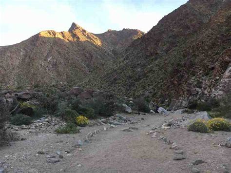 BORREGO SPRINGS HIKING - PALM CANYON - Mile Marker Memories