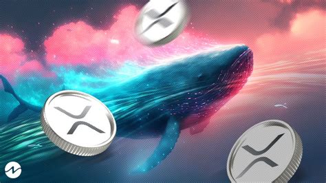 Whales Acquire Over Million Xrp Amid Recent Developments