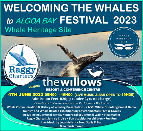 Welcome The Whales To Algoa Bay