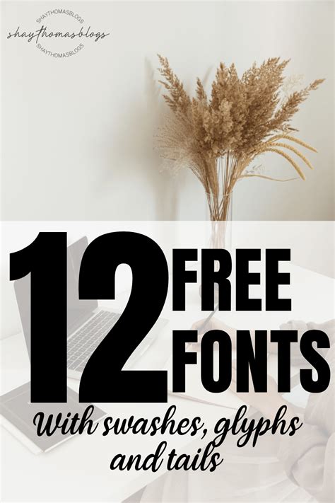 12 Gorgeous FREE Fonts With Tails Glyphs And Swashes