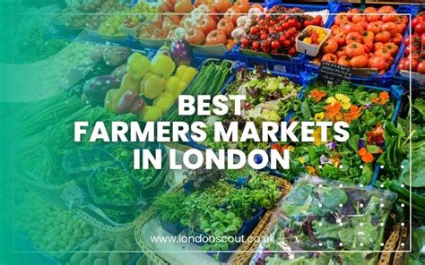 → Explore 2025 Best Farmers Markets In London For Fresh Finds