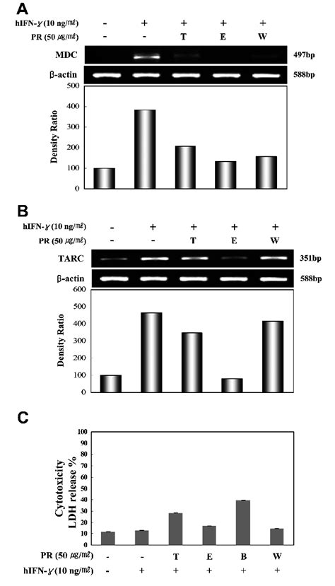 Effect Of Solvent Fractions Of P Yedoensis On Mdc And Tarc Mrna