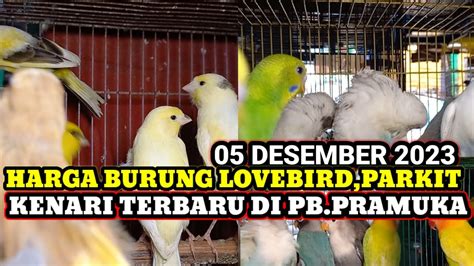 HARGA BURUNG LOVEBIRD KENARI DAN PARKIT TERBARU DIPASAR BURUNG PRAMUKA