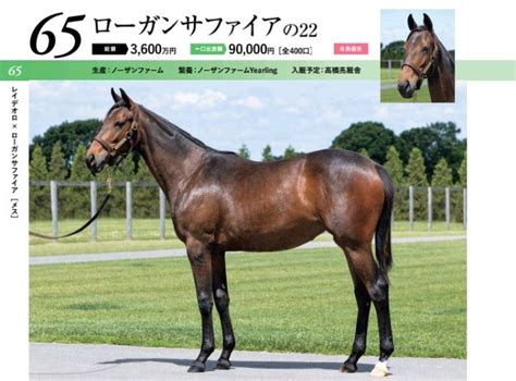 【キャロット】2023募集馬全頭評価⑧ アラカン優優の一口馬主ライフ