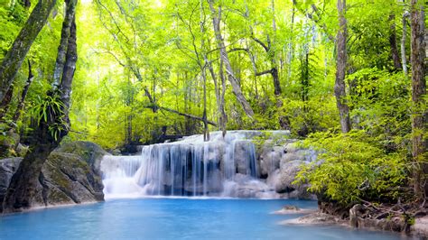 Trees Waterfalls Forest River Summer Wallpaper 1920x1080 Full Hd