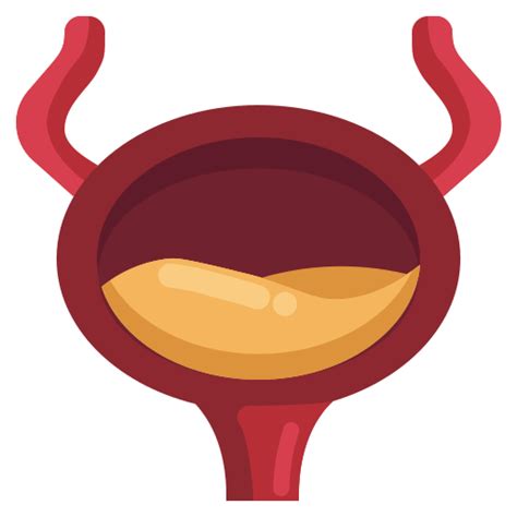 Bladder Generic Flat Icon