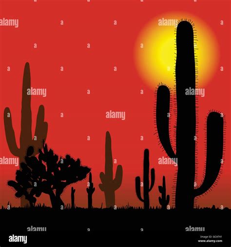 Old Saguaro Cactus In Sonoran Desert Stock Vector Images Alamy