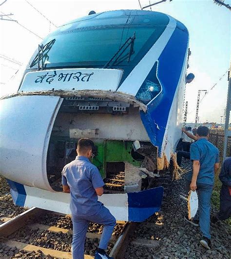 Mumbai Gandhinagar Vande Bharat Train Rams Into Cattle In Gujarat The