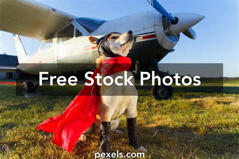 Superhero Flying Photos Download The Best Free Superhero Flying Stock