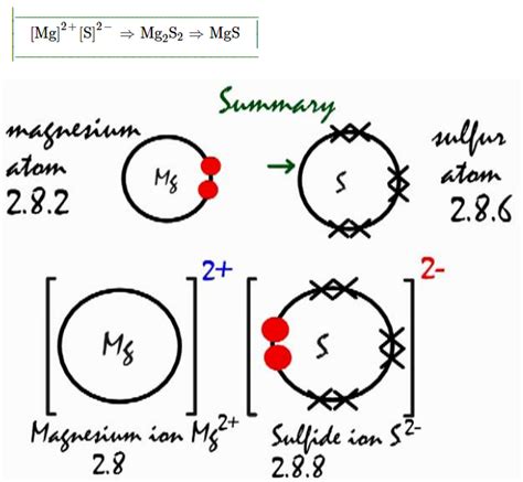 What Type Of Bond Do Magnesium And Sulfur Form Cbse Tuts