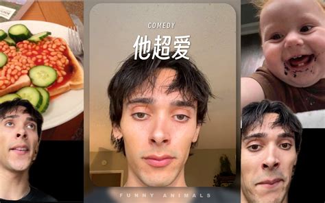 他真的超爱英国人惹 Funny Animals Funny Animals 哔哩哔哩视频