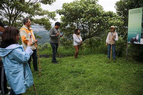 Promueve Turismo Ruta Del Caf Entre Turoperadores