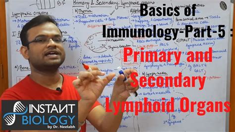 Basics Of Immunology Part Complete Lecture On Primary And Secondary