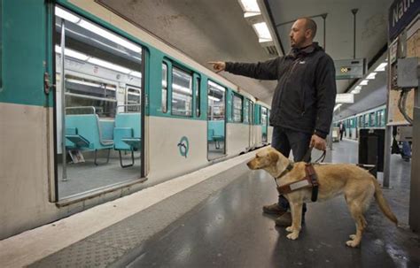 Paris Quand Les Chiens Guides Testent Leur Code De La Route