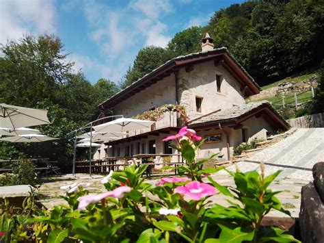 Nel Bosco di Alice Con il nuovo menù dai profumi autunnali il